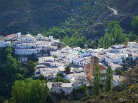 16943356279 ca9b9b1ffb o38 copia  12